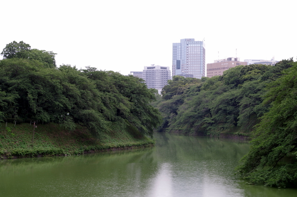 千鳥ヶ淵
