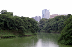 千鳥ヶ淵