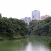 千鳥ヶ淵