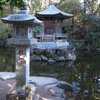 滝不動-3