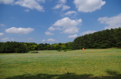 IMGP0147