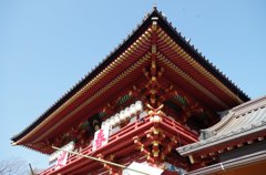 鶴岡八幡宮-本宮-2