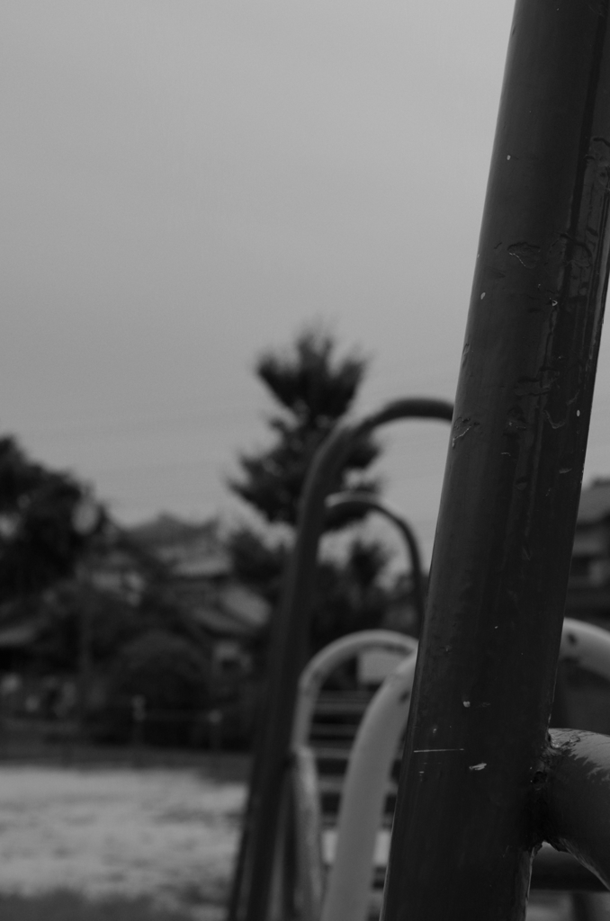 公園で