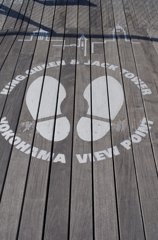 View Point