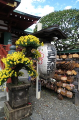 亀戸天神-4