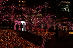 illumination-meguro-river-3