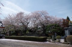 国分寺-2