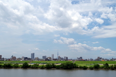 遠くまで良く見渡せる