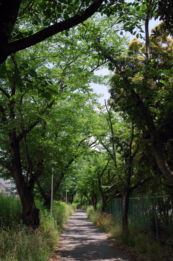 道