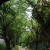 道