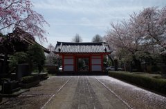国分寺-3