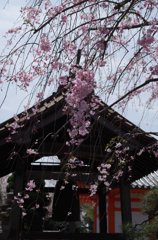 国分寺-4