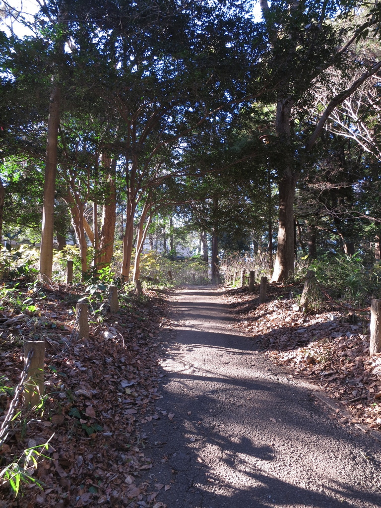 滝不動-2