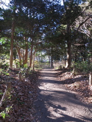 滝不動-2
