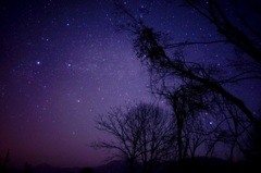 star × purple