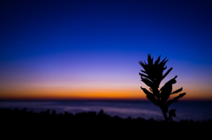 sunset × blue