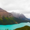 Peyto Lake In Canada