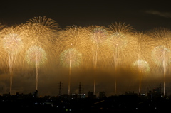 長岡花火　フェニックス