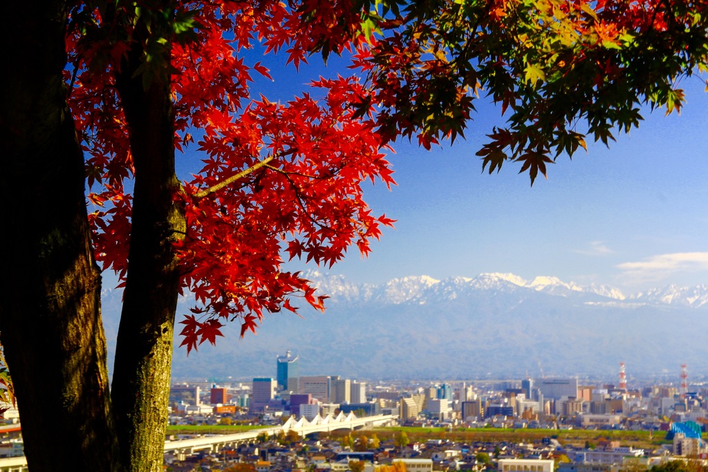 秋の富山