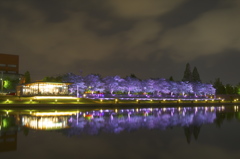 富岩運河環水公園