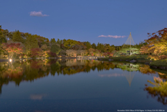 夕暮れ昭和記念公園