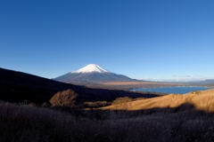 「富士山」ふもとより