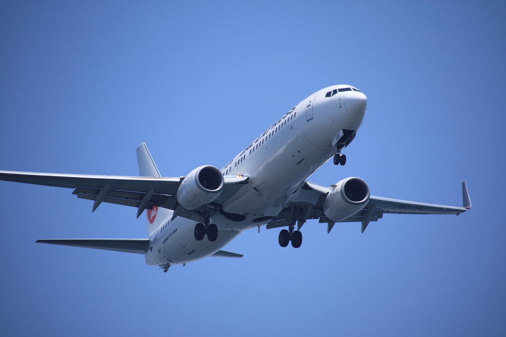 Go Landing　５
