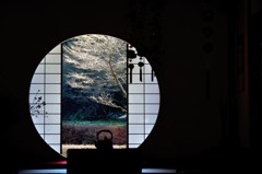 明月院　丸窓漆黒