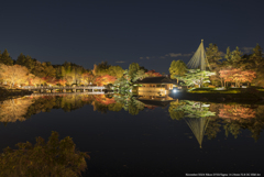 夜景：秋の昭和記念公園