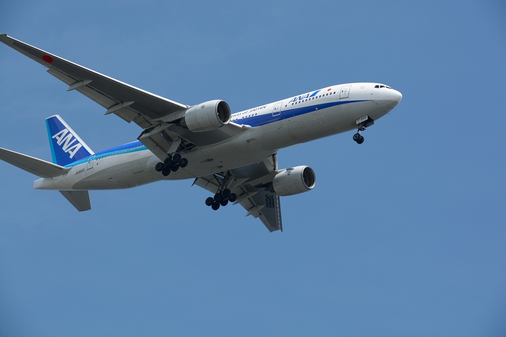 Go landing 21