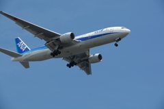 Go landing 21