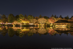 夜景：秋の昭和記念公園