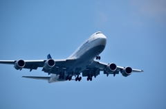 747　Go　 Landing　4