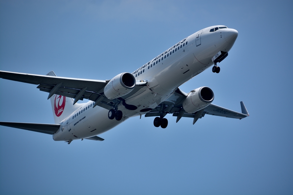 Go　 Landing　16