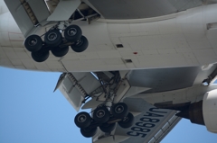 Go landing 22