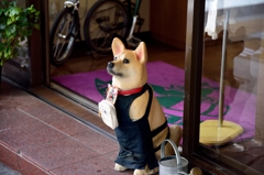 看板犬