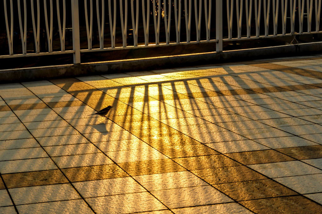 0167-夕暮れのひととき
