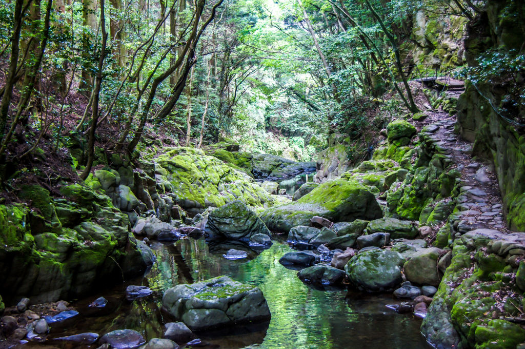 0110-山の中にて