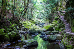 0110-山の中にて
