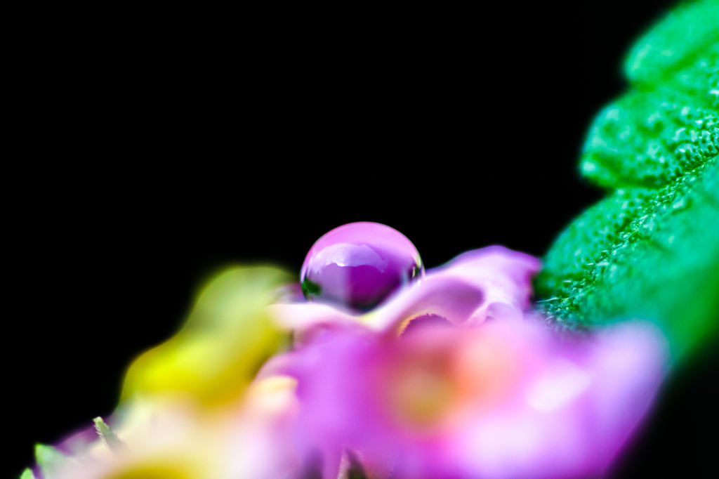 0033-水玉真珠