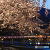 夜桜
