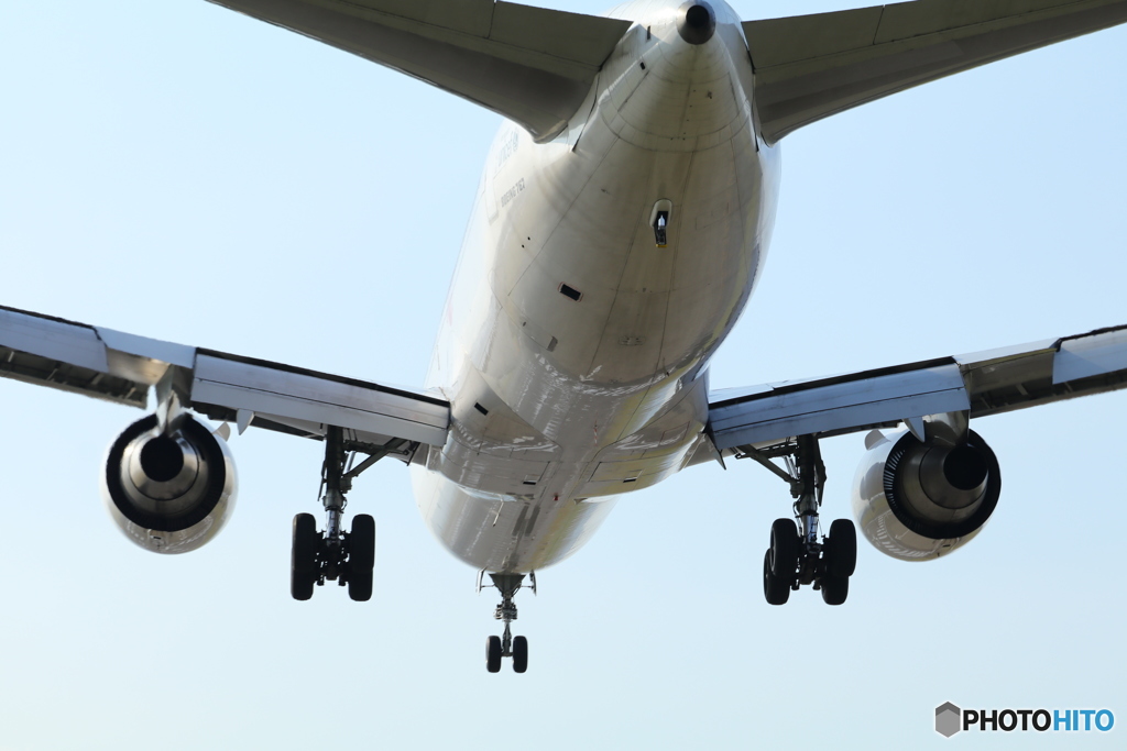 飛行機の下ってこんな風になってるんですね