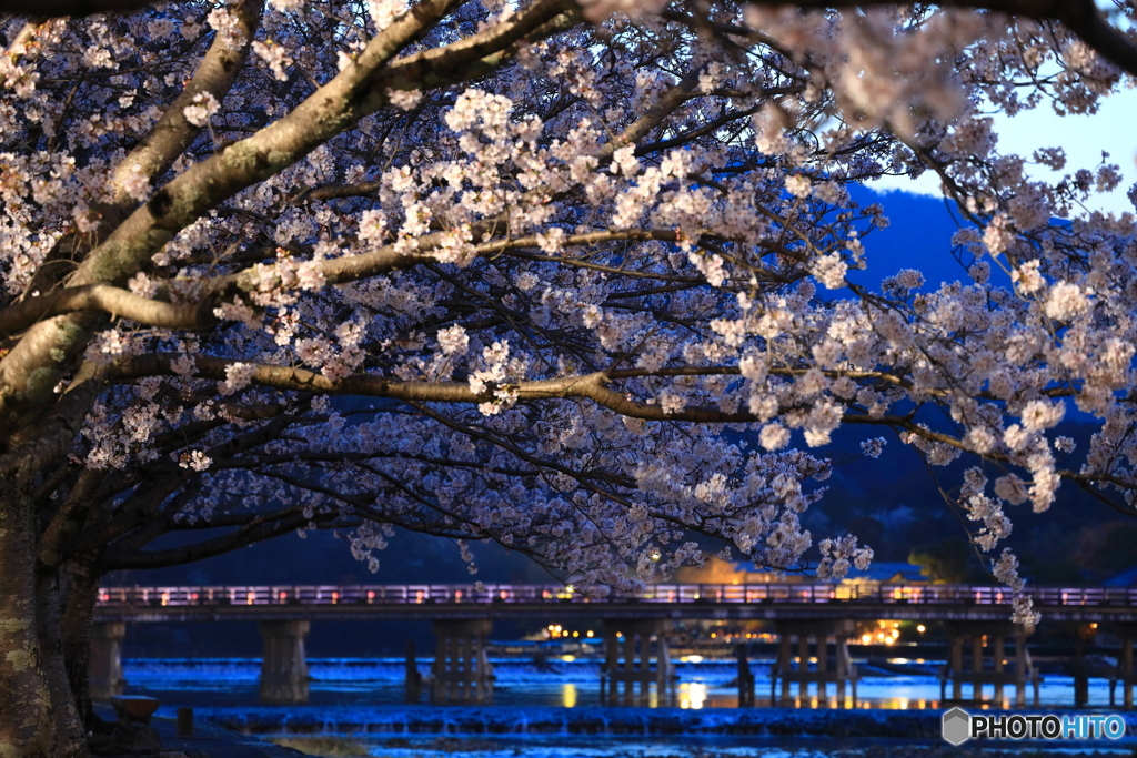 夕暮れの渡月橋①
