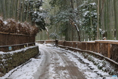 少し雪景色の竹林 #1