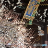 梅の花と天満宮