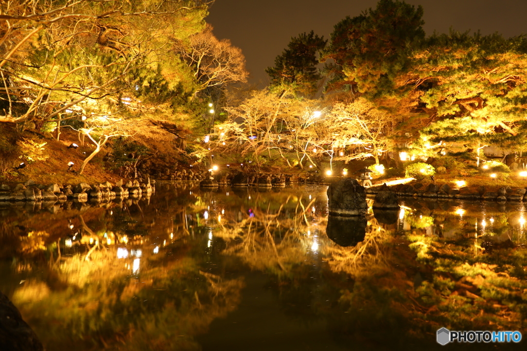 円山公園 ライトップされた池