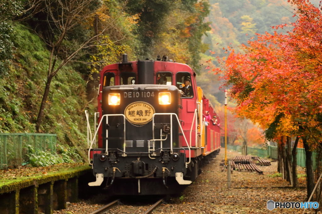 トロッコ列車と紅葉