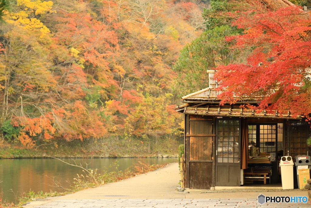 紅葉に囲まれたお店
