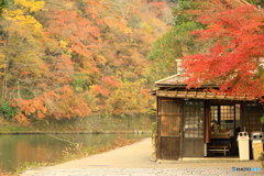 紅葉に囲まれたお店