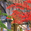 水路閣と紅葉